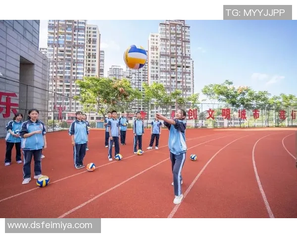 从零基础到高手：全面掌握排球比赛技巧与经验分享